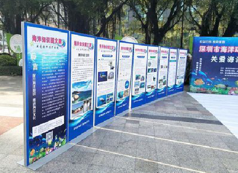 从江KT板的种类和知识。